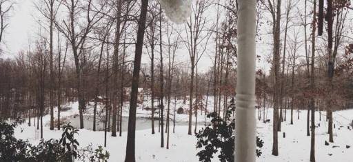 1620647_645551498695_663541332_n