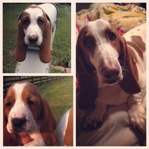 1962793_646211116815_1749301257_n